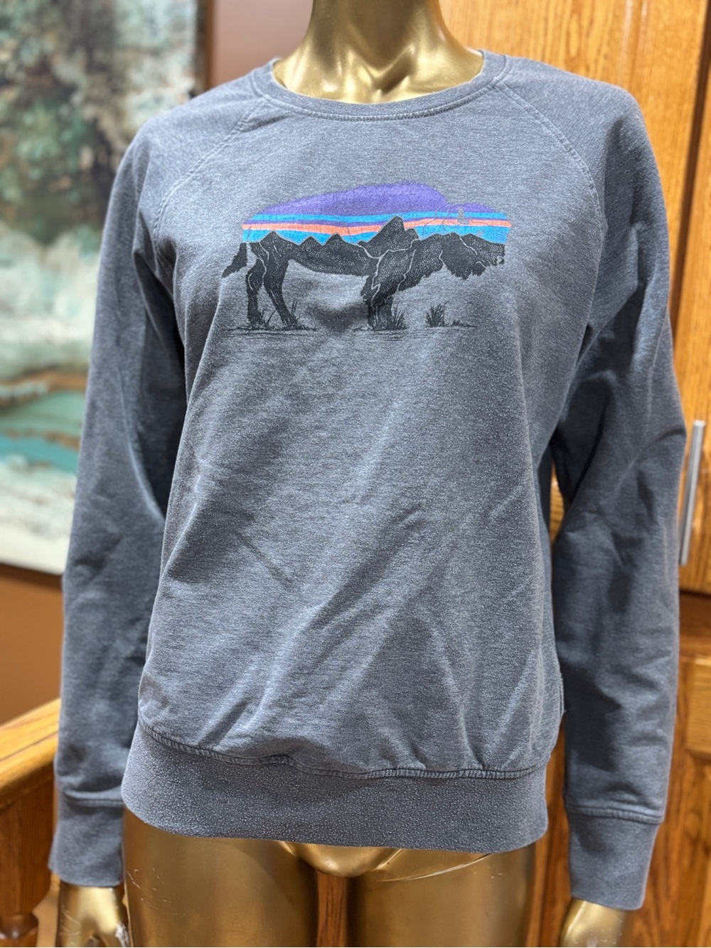 Patagonia Fitz Roy Bison Ahnya Crew Sweatshirt Women’s size M - Picture 1 of 6